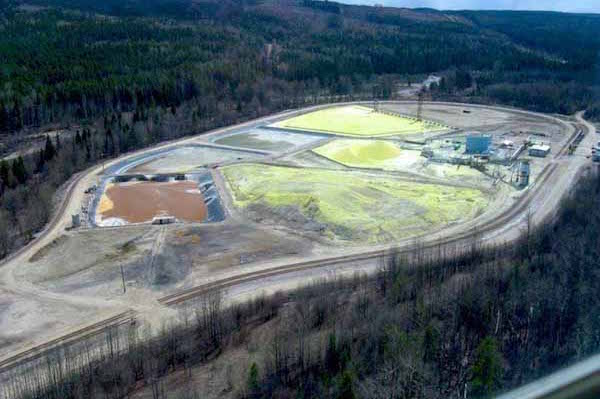 K3 plant